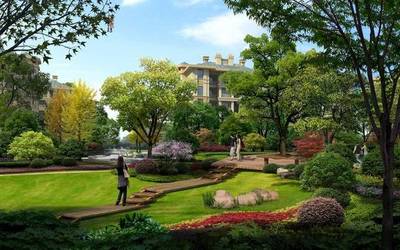 竹材在園林景觀中有哪些作用,竹材在園林的多樣化