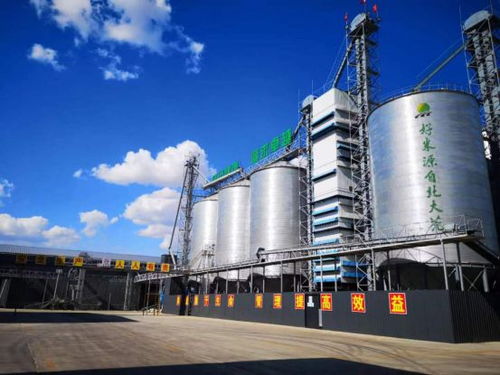 美麗工廠 建設,為米業集團發展注入澎湃動能